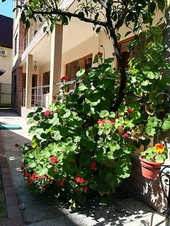 Runo Guest House Gagra Exterior foto
